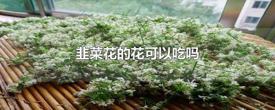 ​韭菜花上的花可以吃吗图片 韭菜花上的花可以吃吗视频