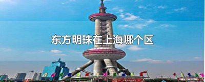 ​东方明珠是上海哪个区的 上海市东方明珠在什么区