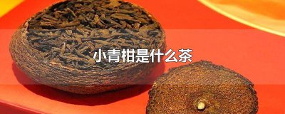 ​生晒小青柑是什么茶 中茶小青柑是什么茶
