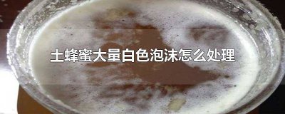 ​土蜂蜜起泡怎样处理 蜂蜜有很多白色的泡沫还能要吗
