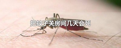 ​蚊子关房间飞不出去几天会死亡吗 蚊子关房间飞不出去几天会死亡嘛