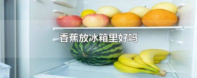 ​香蕉放冰箱里好吗能放多久 香蕉放冰箱里好吗会坏吗