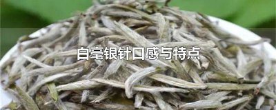 ​银针白毫口感特点 如何鉴别白毫银针的品质