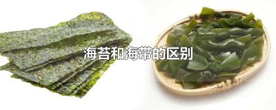 ​海苔和海带的区别 海苔和海带的区别秒懂百科