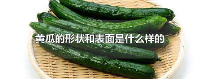 ​黄瓜的形状是什么样子的 黄瓜表面像什么