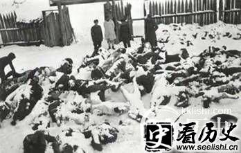 苏联战胜小国芬兰付出代价 伤亡百万人
