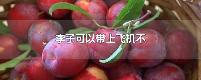 ​飞机可以带李子吗 李子飞机能带吗