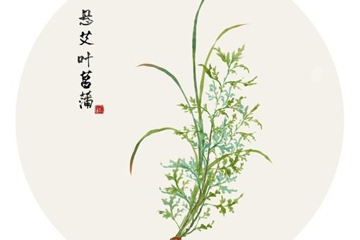 关于端午节的诗句或词句有哪些