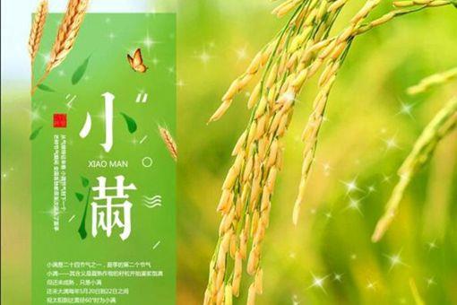 小满是什么意思?