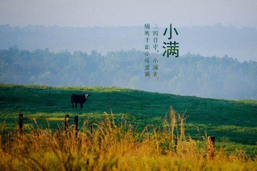 小满是什么意思?
