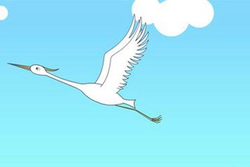 惊弓之鸟什么意思?