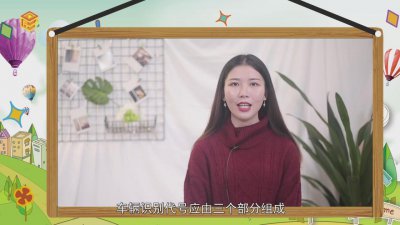 ​车辆识别代号就是车架号嘛 车架号和车辆识别代号