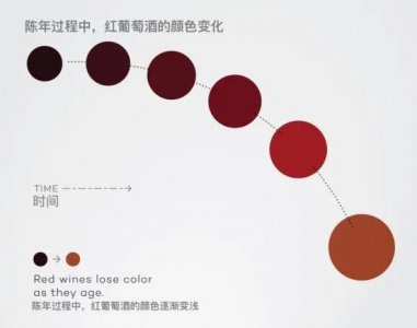 ​各种颜色的预警是什么意思(梦见各种颜色的猫是什么意思)