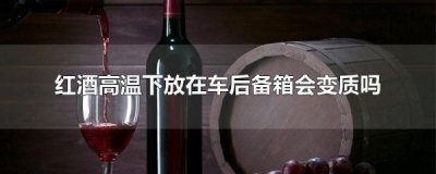 ​葡萄酒可以放车后备箱吗(葡萄酒放车里晒了一天)