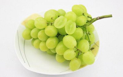 ​提子葡萄酒的 ***  ***   提子 葡萄酒