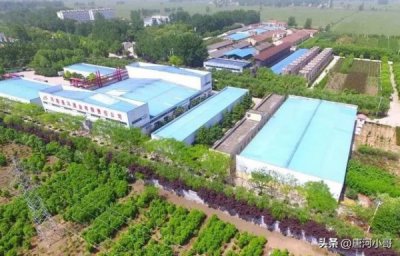 ​杜康御酒坊珍藏1号多少钱(杜康御酒坊珍藏2号价格)