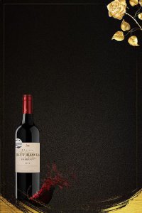 ​魔斯精选红葡萄酒(魔狮红酒)