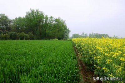 ​汤沟镇多少人(汤沟镇有多少人口)