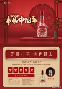 ​五粮液市场营销(五粮液市场营销分析)