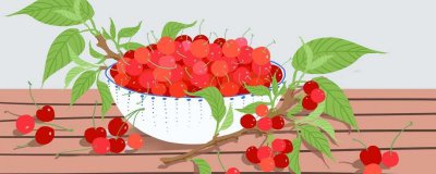 ​樱桃的营养价值及营养成分