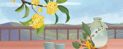 ​桂花适宜的温度