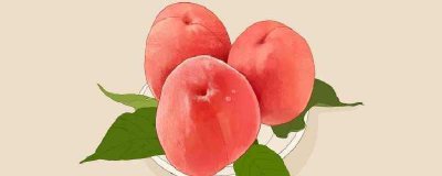 ​阳山水蜜桃怎么保存