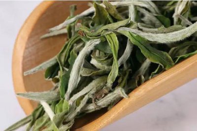 ​白牡丹茶放多久口感最好 白牡丹茶放多年还能喝吗