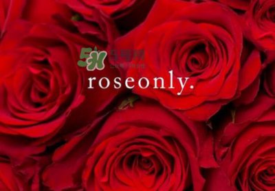 ​2017七夕礼盒roseonly多少钱？roseonly巨型玫瑰礼盒多少钱？
