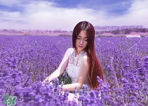 六月份还有薰衣草吗？6月份哪里有薰衣草？