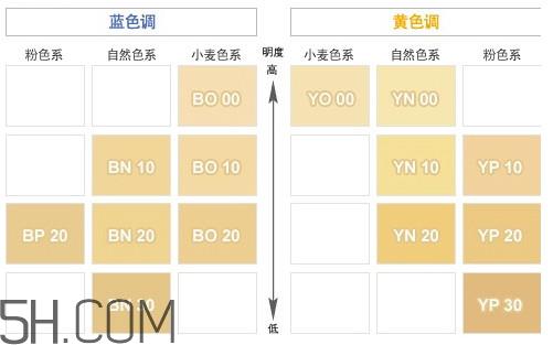 粉底液粉调黄调怎么选 粉底液黄调和粉调差别