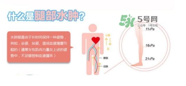 爽健qtto睡眠瘦腿袜真假 qtto睡眠瘦腿袜真假辨别