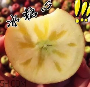 ​冰糖心苹果怎么形成的？冰糖心苹果产地有哪些？