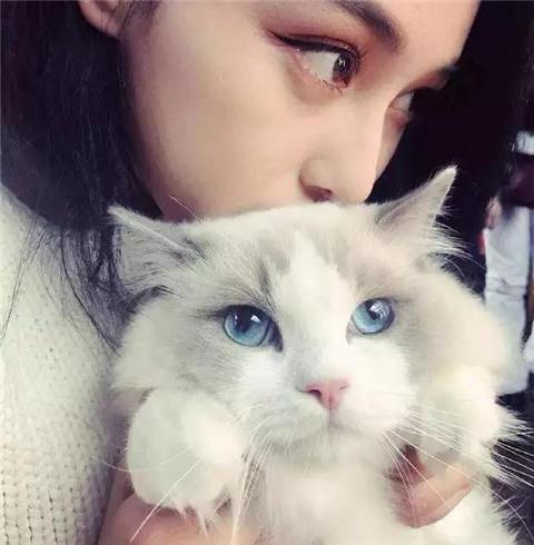 女生说你是谁怎么高情商回复