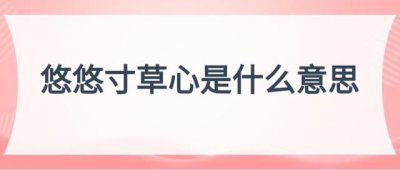 ​悠悠寸草心是什么意思