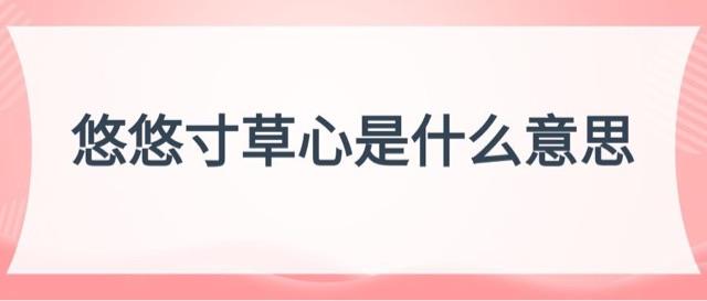 生活悠悠寸草心是什么意思  1