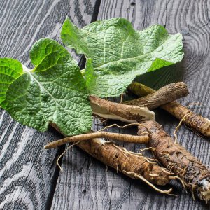 ​10粒蓖麻即可致死，比氰化钾毒上千倍，为什么我国大规模种植？