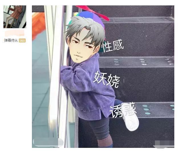 为什么不露脸的骚白竟然可以吸引这么多女粉，个个都是真爱！