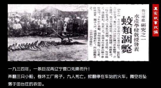 历史上众人目睹的坠龙事件，龙的最终去向是哪里？