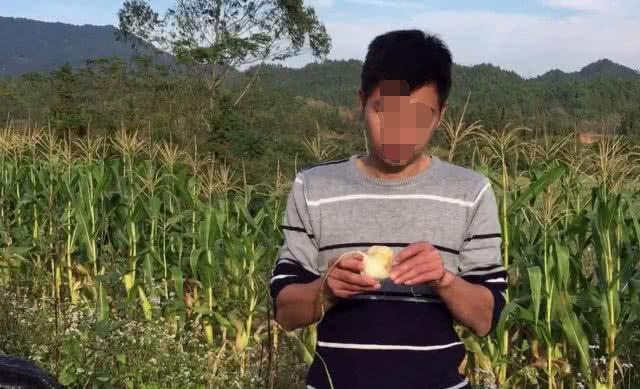 农村地里的野货，人们称它为“地萝卜”，清甜爽口还能降血压！