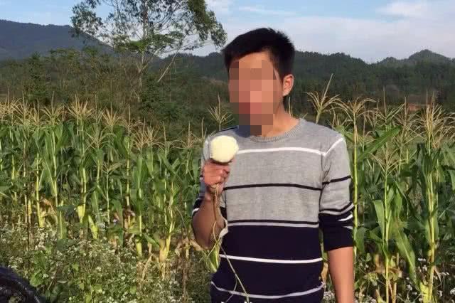 农村地里的野货，人们称它为“地萝卜”，清甜爽口还能降血压！