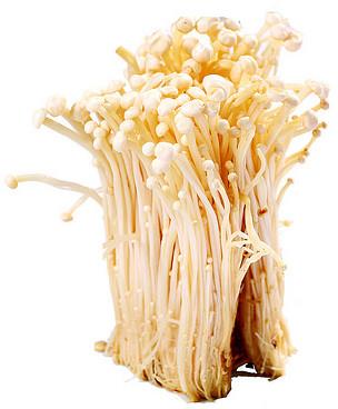金针菇蕈菇中的降脂明星