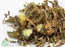 干蒲公英泡水喝有什么好处?干蒲公英泡水喝的功效与作用
