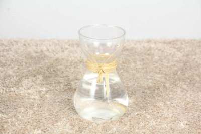 ​水仙花休眠期怎样养护，水仙花休眠期过后怎么管理