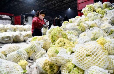 ​半月谈 | 寿光不怕“卖菜难”