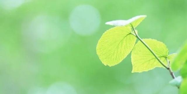 渡头文学社｜秦焕艺唐诗集句唱和诗