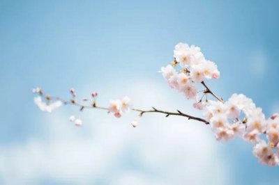 ​王凤雅小朋友之死：真相未明之前，请保持理性