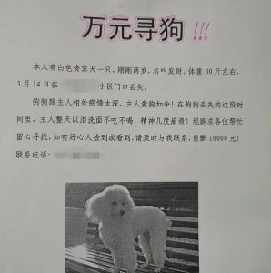 ​报料回音台丨重金寻狗启事承诺悬赏10000，找到狗只给100，咋办？