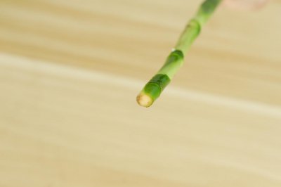 ​富贵竹可以用淘米水养吗