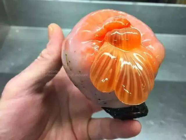 俄罗斯渔夫专拍深海古怪生物:这些鱼都丑得吓人,三只眼的见过吗?