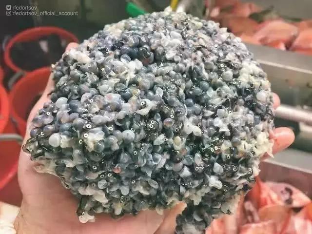 俄罗斯渔夫专拍深海古怪生物:这些鱼都丑得吓人,三只眼的见过吗?